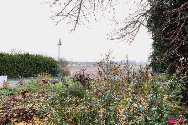 Blick aus der Küche