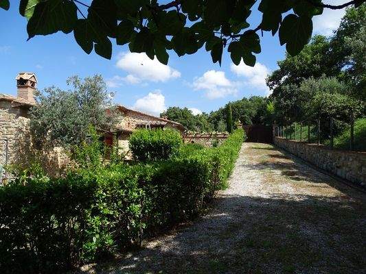 PHOTO-2024-03-26-18-37-38 3.jpg