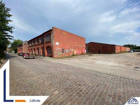 Neumünster Halle, Neumünster Hallenfläche