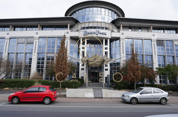 Außenansicht - Haupteingang 