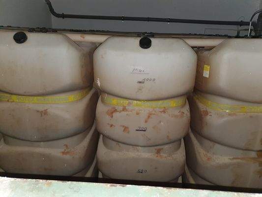 WhatsApp Image 2019-12-20 at 08.57.58_2.jpeg