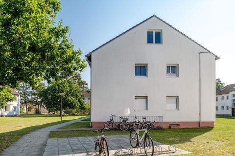 Celle Wohnungen, Celle Wohnung mieten
