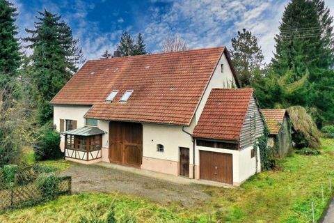 Hechingen Häuser, Hechingen Haus kaufen