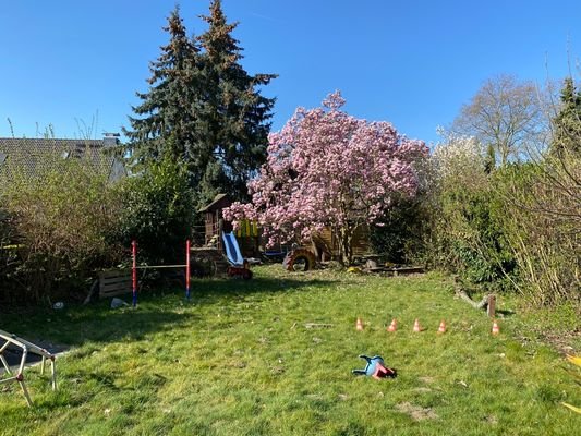 Garten I