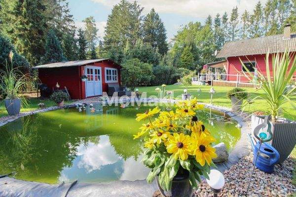 Blick über den Teich