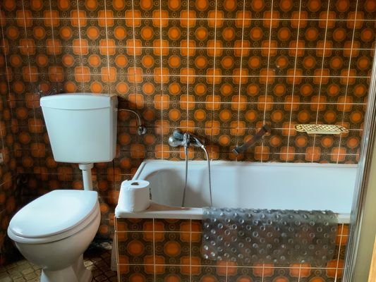 Vorderes Haus, OG, Bad, Bild 1