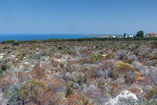 Kreta, Kalathas: Grundstück mit herrlichem Blick auf das Meer und die Weißen Berge zu verkaufen