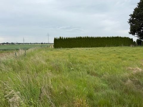 Nersingen Grundstücke, Nersingen Grundstück kaufen