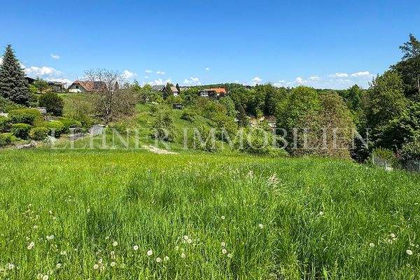 Lehner Immobilien Bild 3