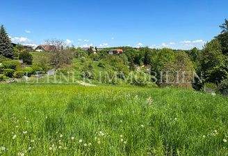 Lehner Immobilien Bild 3