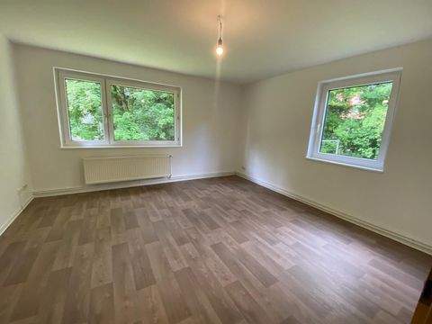 Seesen Wohnungen, Seesen Wohnung mieten