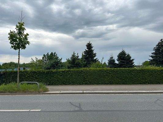 Blick von der Straße