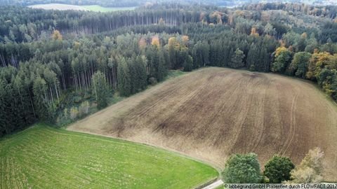 Aichach Bauernhöfe, Landwirtschaft, Aichach Forstwirtschaft