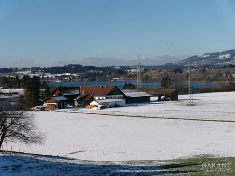 Steingaden Häuser, Steingaden Haus kaufen