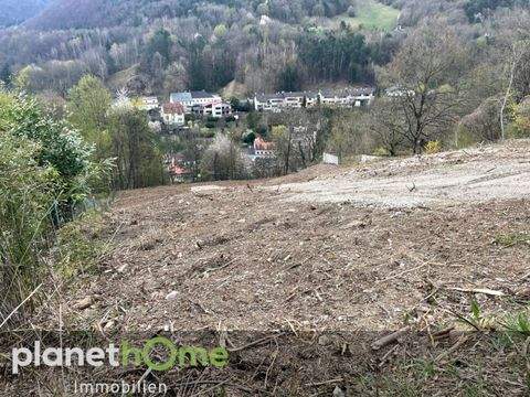 Kaltenleutgeben Grundstücke, Kaltenleutgeben Grundstück kaufen