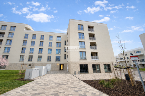 Erfurt Ladenlokale, Ladenflächen 