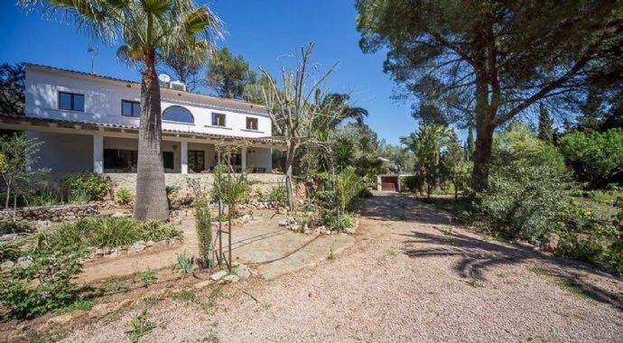 bcc03014393f61f296536a1cfce85aa2-1740x960-c-center