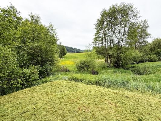 Blick von Terrasse gen Wald