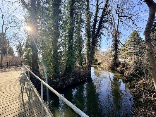 Mit dem Kahn durch den Garten