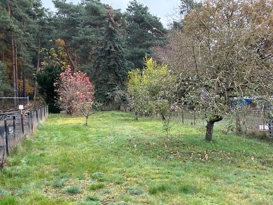 Garten.jpg