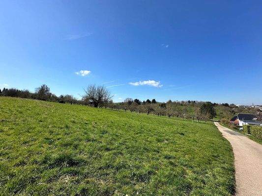 Feldrand Wohngebiet Westsicht