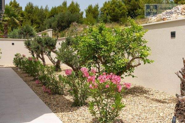 split-podstrana-vila-olea-618m2_27