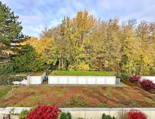 Blick ins Grüne/ in Richtung Garagenhof