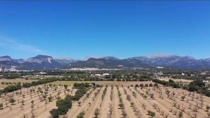 Suelo-edificable-Inca