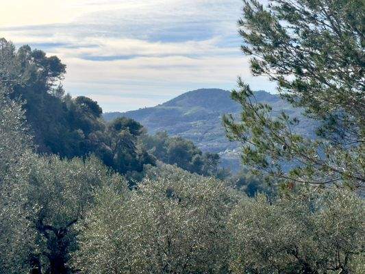 DA958_08 TERRA ITALIA IMMOBILIEN_LIGURIEN_DOLCEACQ