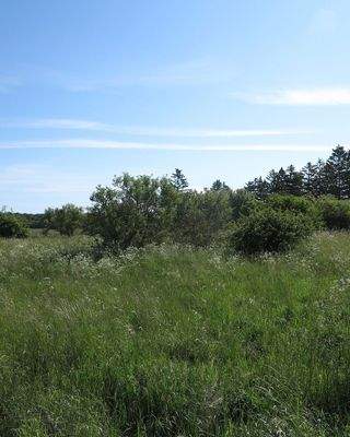 ...alles eigenes Naturareal!