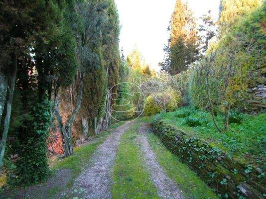 Wunderschönes Anwesen | Arezzo