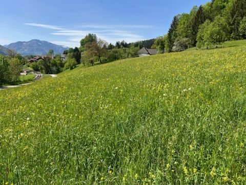 Scharnstein Grundstücke, Scharnstein Grundstück kaufen