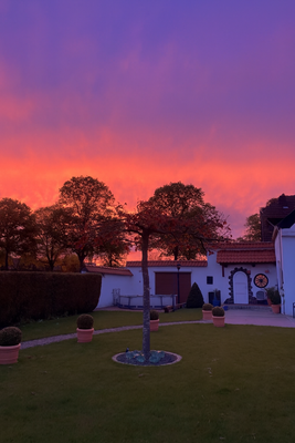 Sonnenuntergang über dem Garten 
