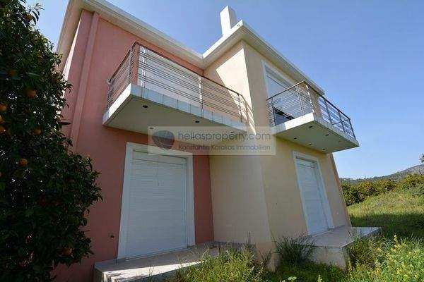 img_e53dedc8-3769-4c1d-abfb-c0abd5e6992b