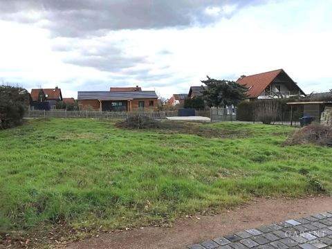 Seegebiet Mansfelder Land Grundstücke, Seegebiet Mansfelder Land Grundstück kaufen