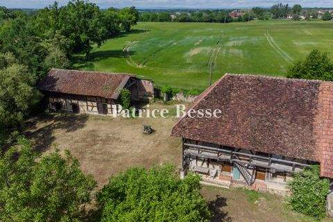 Louhans Häuser, Louhans Haus kaufen