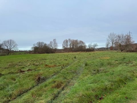 Wersen Bauernhöfe, Landwirtschaft, Wersen Forstwirtschaft