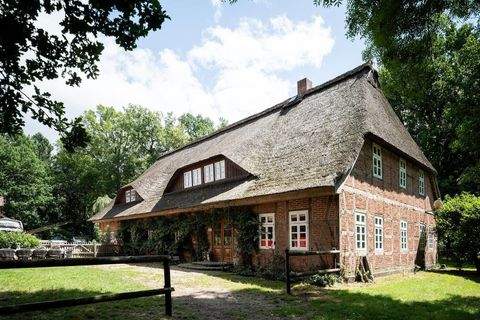 Schneverdingen Häuser, Schneverdingen Haus kaufen