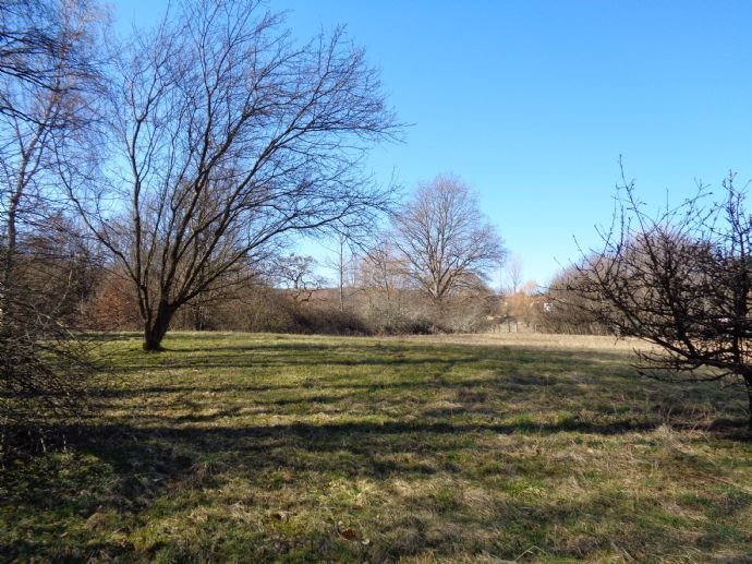 großes Grundstück in exponierter Lage direkt am Bostalsee (ca. 200 m), Gesamtfläche 5.251 m², ca. 1800 m² bebaubar