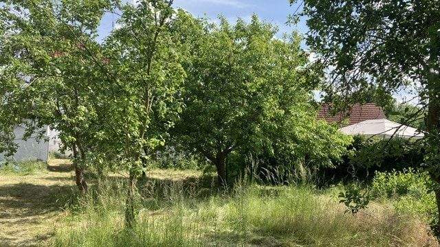 Garten mit Obstbäumen