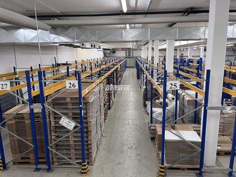 Erfurt Halle, Erfurt Hallenfläche