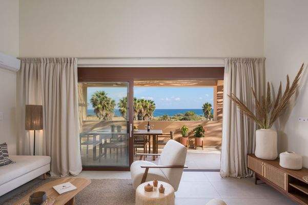 Olive Courtyard Collection