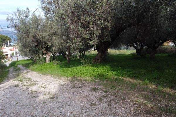 Kreta, Kalyves: Grundstück mit bezauberndem Meerblick zu verkaufen, nur wenige Schritte vom Strand entfernt