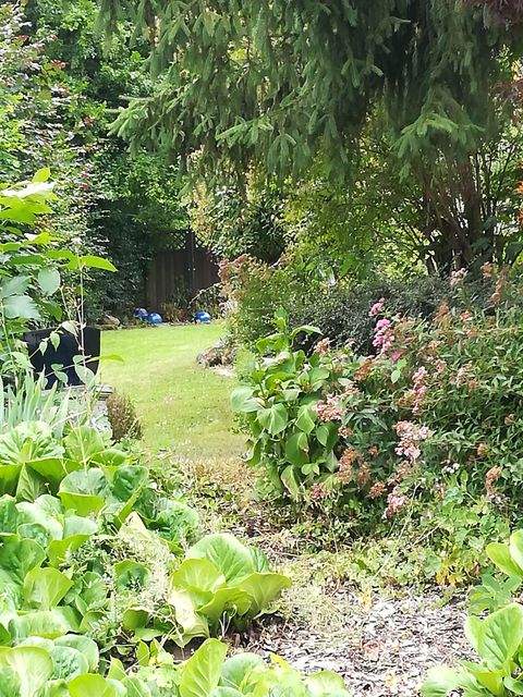 Dautphetal Häuser, Dautphetal Haus kaufen