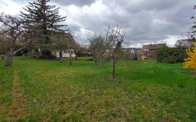 Ausschnitt Gartenfläche.jpg