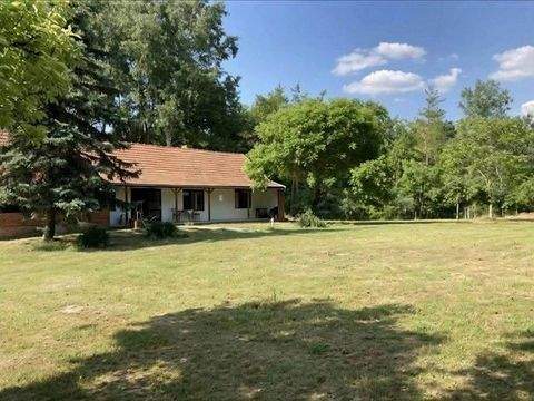 Szabadszállás Häuser, Szabadszállás Haus kaufen