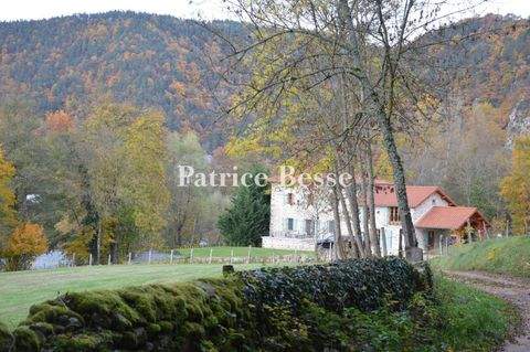 Puy-en-Velay Häuser, Puy-en-Velay Haus kaufen