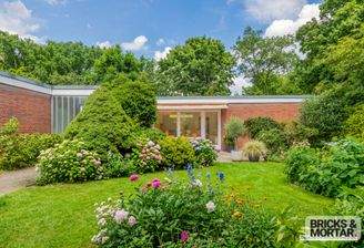 Garten Vorderseite Bild 3