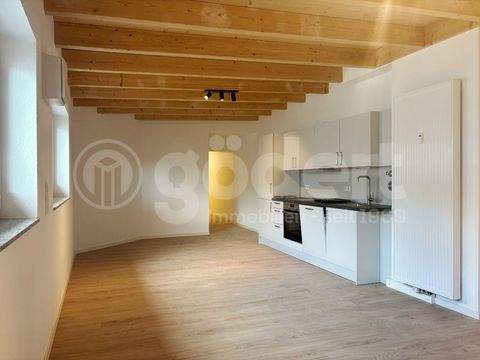 Aschaffenburg Wohnungen, Aschaffenburg Wohnung mieten