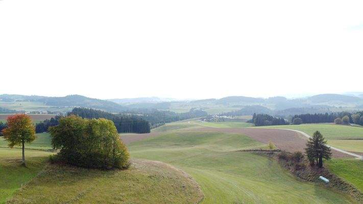 Südaussicht inkl.Grundstücken